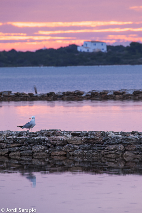 Parque Natural de las Salinas de Ibiza